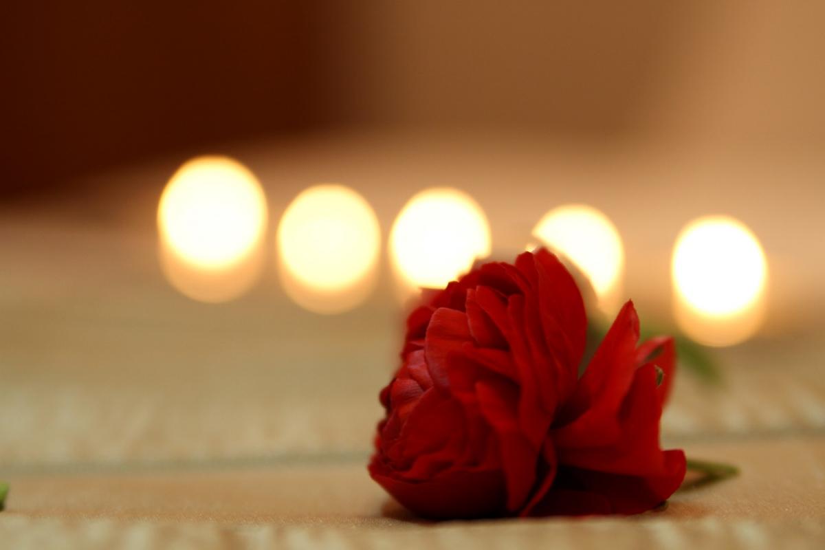 apartment, appartamento, apartman, appartement