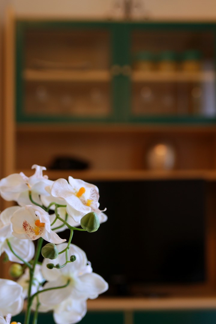 apartment, appartamento, apartman, appartement